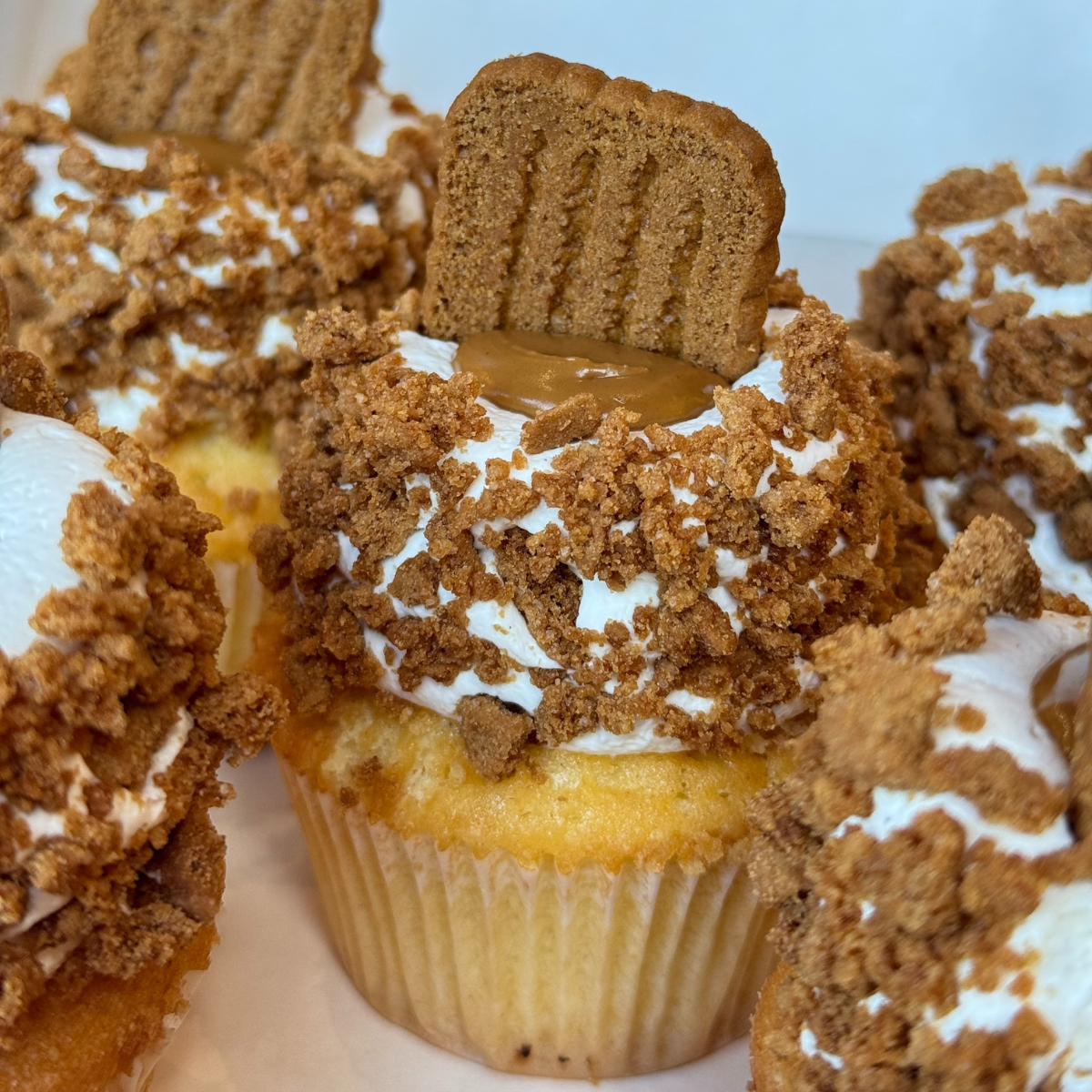 Cupcakes - Spéculoos